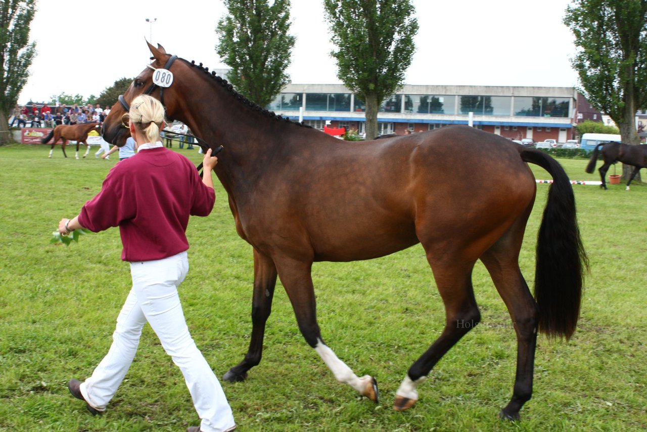 Bild 140 - Elmshorn am 9.6.10